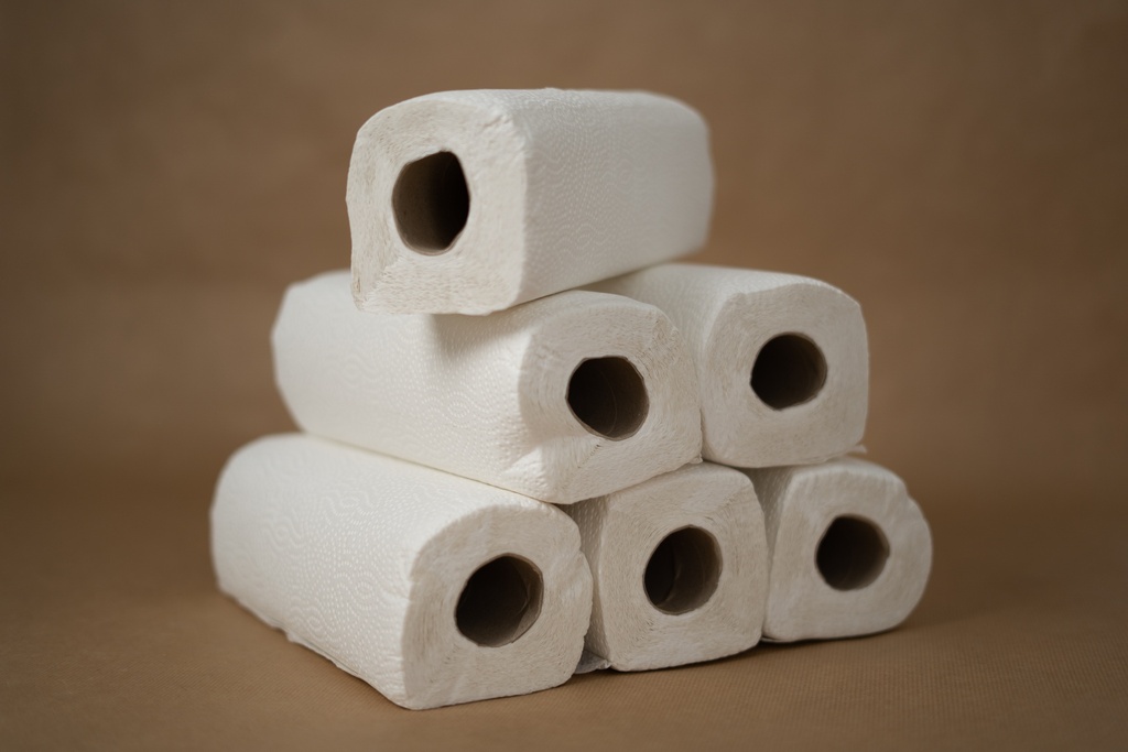 ROULEAUX D'ESSUIE-TOUT - 48 FEUILLES - LOT DE 6