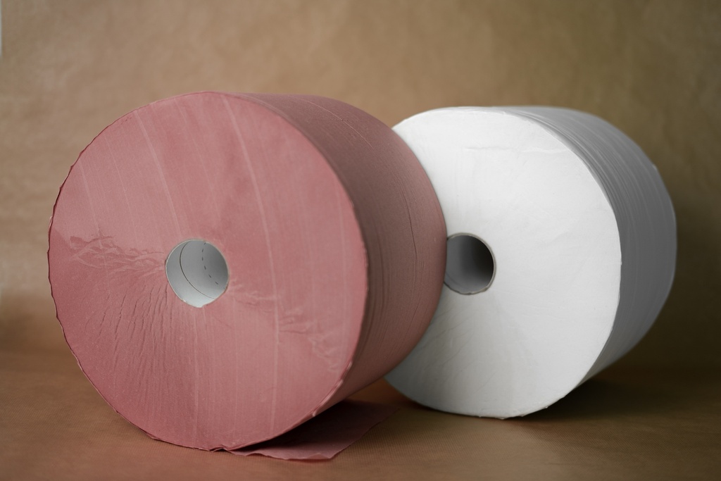 BOBINE PAPIER D'ESSUYAGE - 1 500 FEUILLES PREDECOUPEES - CHAMOIS
