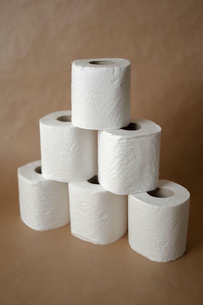 ROULEAUX DE PAPIER TOILETTE SUPERIEUR - 3 PLIS - 250 FEUILLES - LOT DE 24