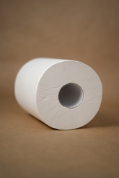 [HY031] BOBINE PAPIER D'ESSUYAGE - 450 FEUILLES A DEVIDAGE CENTRAL - BLANC