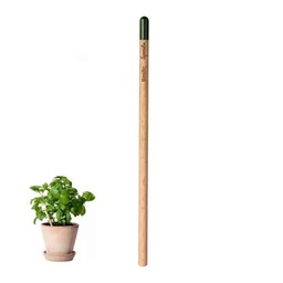 [OP-POU] CRAYON A PAPIER BOIS ENSEMENCE - SANS PERSO